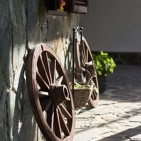 Mira * ספרבה בניה