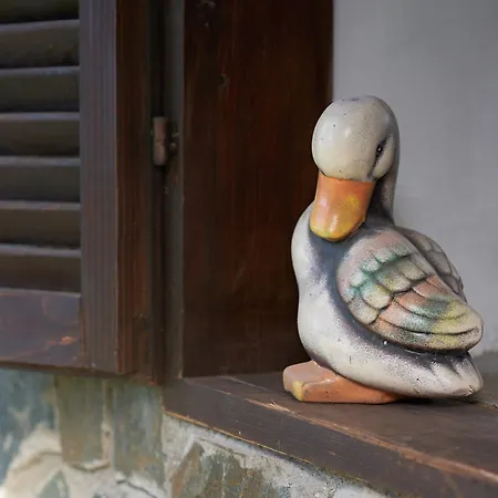 בית הארחה Mira *